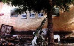 Les 4e Rencontres de la photographie africaine de Bamako (2001)