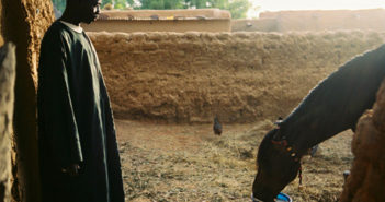 Tous les autres s’appellent Germain, Sam’s K., Ebou, Hadiza, Seri, Adama…