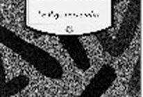 Waberi et Raharimanana : nouvelles fictions