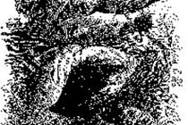 Bibliographie sélective sur l’esclavage et la traite