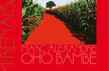 Marc Alexandre Oho Bambe ou la littérature comme transfiguration