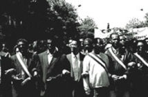 Une histoire de cordon… qui s’est ramifié