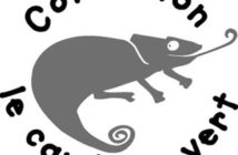 Collection Le caméléon vert