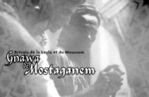Nouveautés du disque