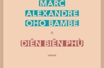 Se choisir à Diên Biên Phù