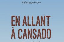 En allant à Cansado : Un roman documentaire sur les migrations